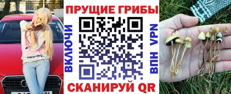 Галлюциногенные грибы прущие грибы  Купить где  Называевск 